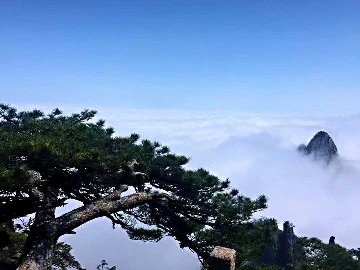 《黄山之旅》这真的只是抛砖引玉,更美的在后面